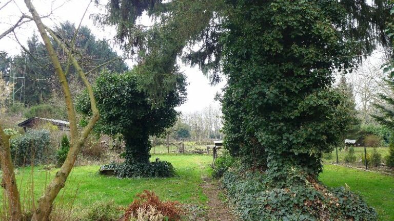 Grundstück für freistehendes Einfamilienhaus in ruhiger SW Lage von Neuss – Weckhoven