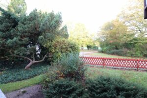 Blick aus dem Fenster