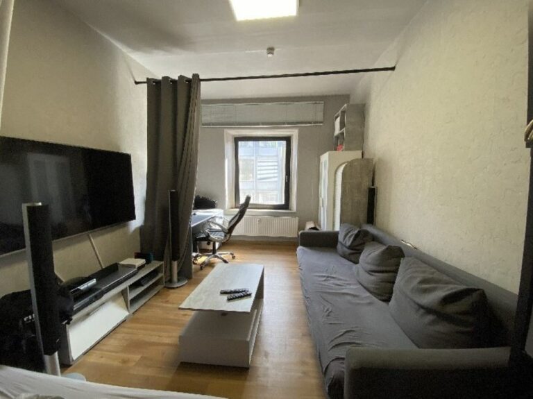 Singlewohnung gesucht?  Kleines, zentrales Appartement! Nur mit eigenem Einkommen!