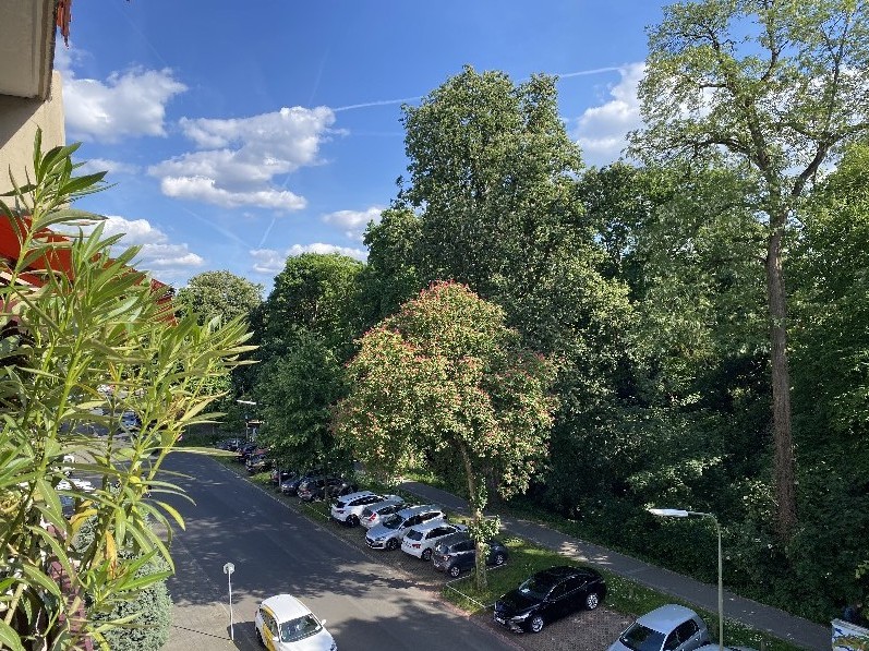 Stadtgartenblick